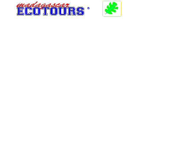 ecotours logo